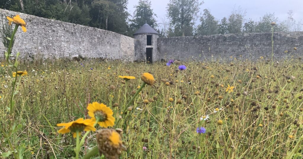 IMG 2379 Walled Garden