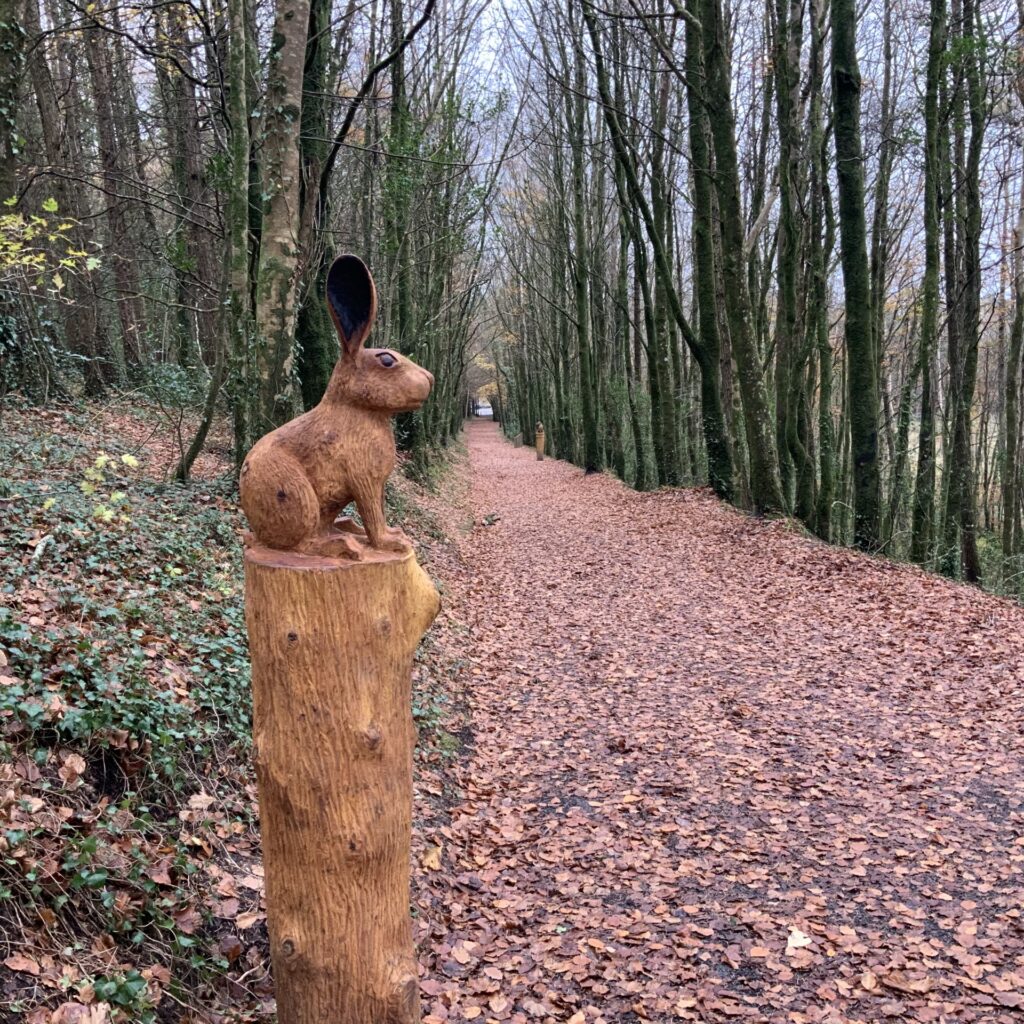 thumbnail IMG 0150 Dark Road Moorehall